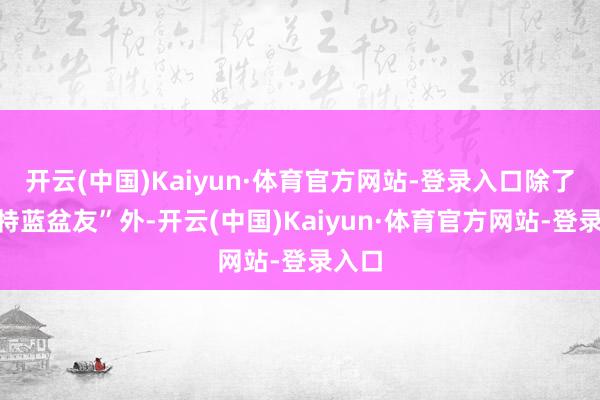 开云(中国)Kaiyun·体育官方网站-登录入口除了“福特蓝盆友”外-开云(中国)Kaiyun·体育官方网站-登录入口