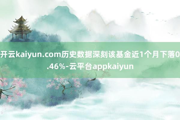 开云kaiyun.com历史数据深刻该基金近1个月下落0.46%-云平台appkaiyun