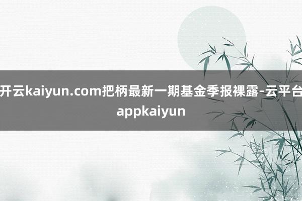 开云kaiyun.com把柄最新一期基金季报裸露-云平台appkaiyun