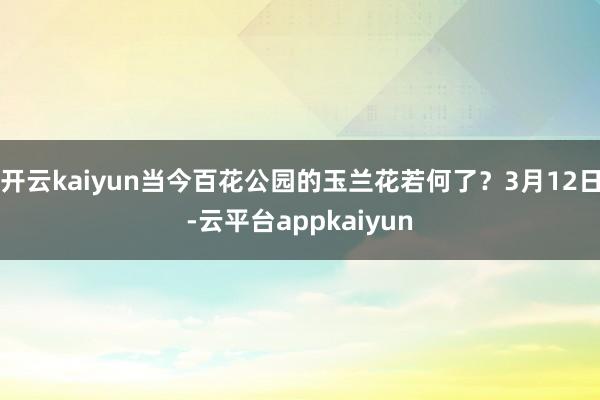 开云kaiyun当今百花公园的玉兰花若何了？3月12日-云平台appkaiyun