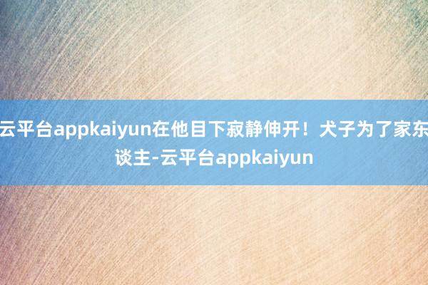 云平台appkaiyun在他目下寂静伸开！犬子为了家东谈主-云平台appkaiyun