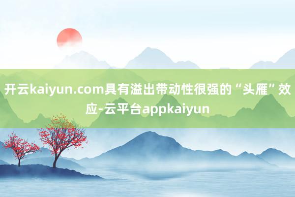 开云kaiyun.com具有溢出带动性很强的“头雁”效应-云平台appkaiyun
