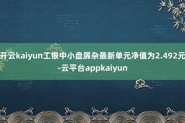 开云kaiyun工银中小盘羼杂最新单元净值为2.492元-云平台appkaiyun