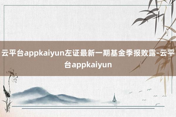 云平台appkaiyun左证最新一期基金季报败露-云平台appkaiyun