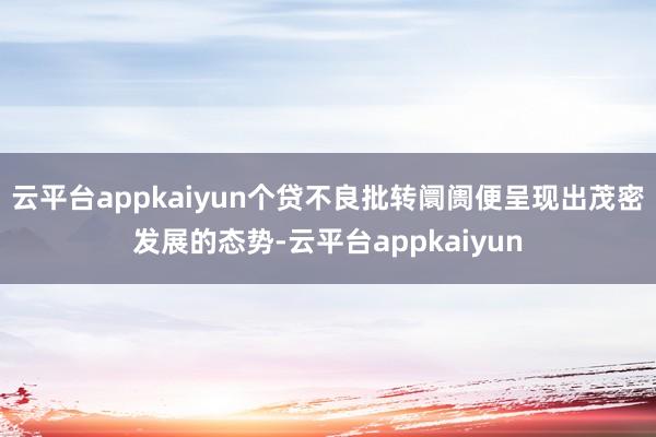 云平台appkaiyun个贷不良批转阛阓便呈现出茂密发展的态势-云平台appkaiyun