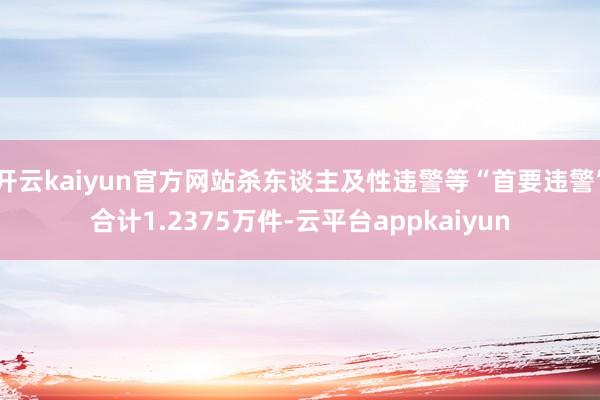 开云kaiyun官方网站杀东谈主及性违警等“首要违警”合计1.2375万件-云平台appkaiyun