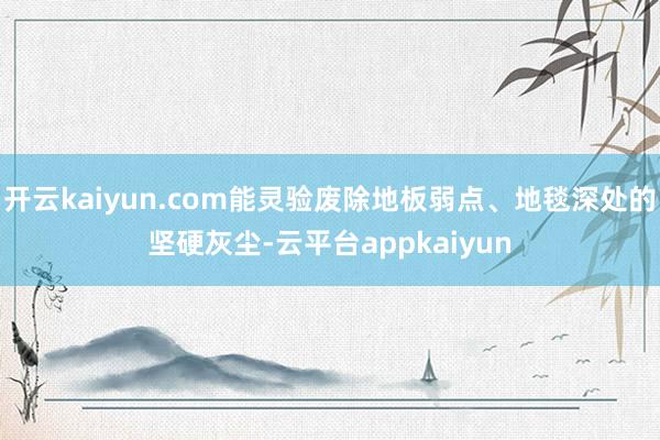 开云kaiyun.com能灵验废除地板弱点、地毯深处的坚硬灰尘-云平台appkaiyun