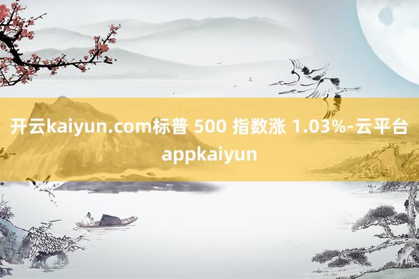 开云kaiyun.com标普 500 指数涨 1.03%-云平台appkaiyun