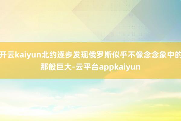 开云kaiyun北约逐步发现俄罗斯似乎不像念念象中的那般巨大-云平台appkaiyun