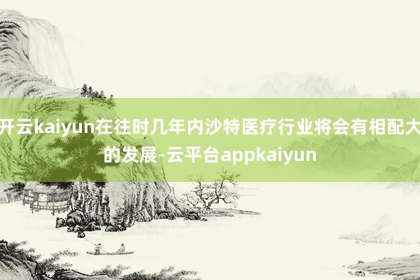 开云kaiyun在往时几年内沙特医疗行业将会有相配大的发展-云平台appkaiyun