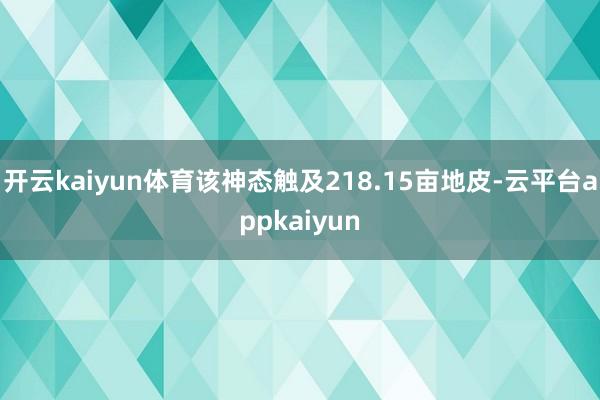 开云kaiyun体育该神态触及218.15亩地皮-云平台appkaiyun