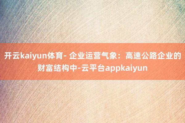 开云kaiyun体育- 企业运营气象：高速公路企业的财富结构中-云平台appkaiyun