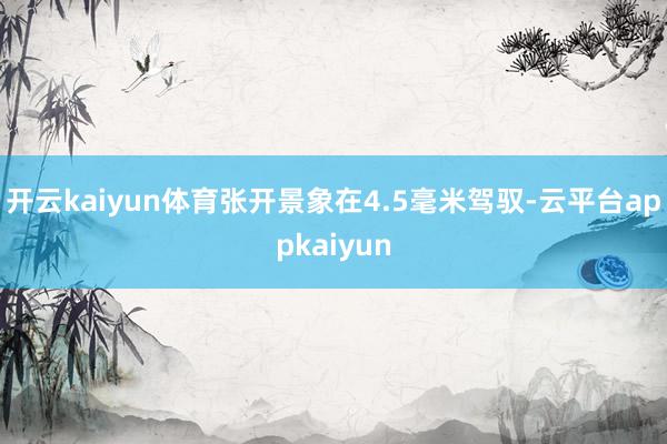 开云kaiyun体育张开景象在4.5毫米驾驭-云平台appkaiyun