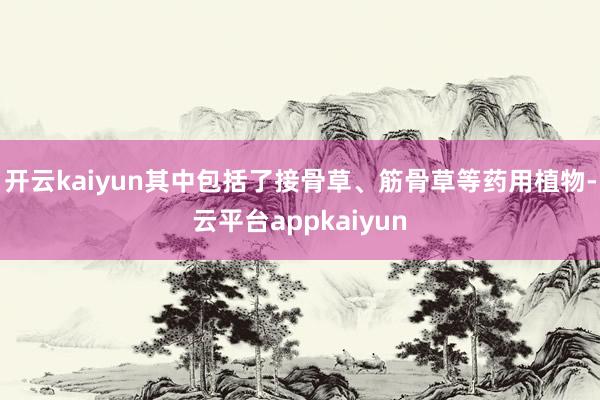 开云kaiyun其中包括了接骨草、筋骨草等药用植物-云平台appkaiyun