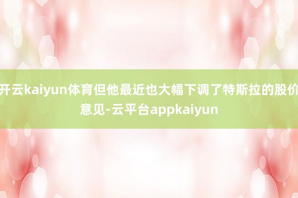 开云kaiyun体育但他最近也大幅下调了特斯拉的股价意见-云平台appkaiyun