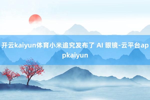 开云kaiyun体育小米追究发布了 AI 眼镜-云平台appkaiyun