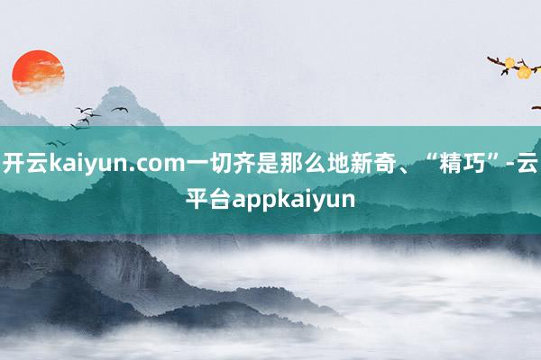 开云kaiyun.com一切齐是那么地新奇、“精巧”-云平台appkaiyun