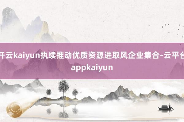 开云kaiyun执续推动优质资源进取风企业集合-云平台appkaiyun