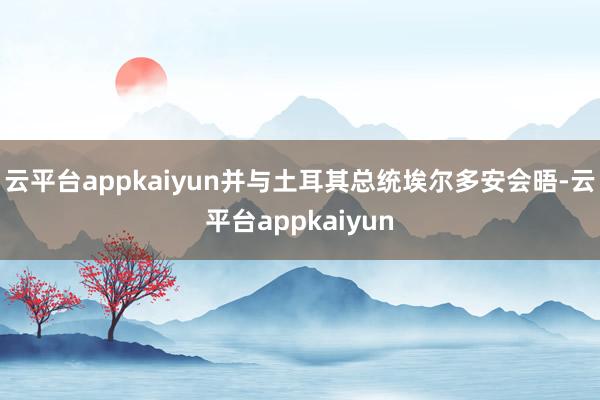 云平台appkaiyun并与土耳其总统埃尔多安会晤-云平台appkaiyun