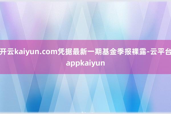 开云kaiyun.com凭据最新一期基金季报裸露-云平台appkaiyun