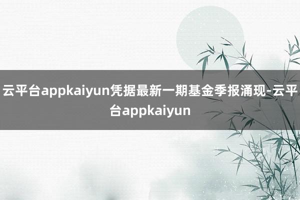 云平台appkaiyun凭据最新一期基金季报涌现-云平台appkaiyun