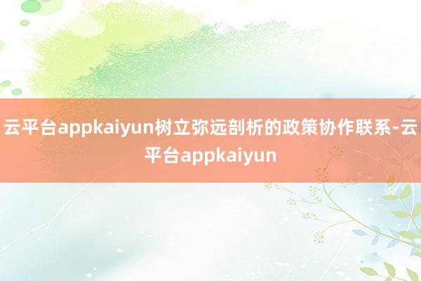 云平台appkaiyun树立弥远剖析的政策协作联系-云平台appkaiyun