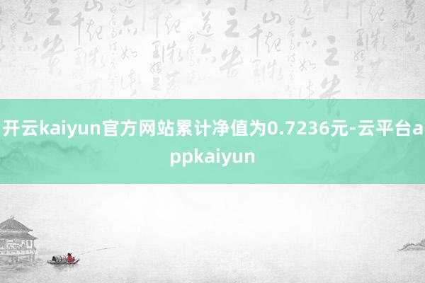开云kaiyun官方网站累计净值为0.7236元-云平台appkaiyun