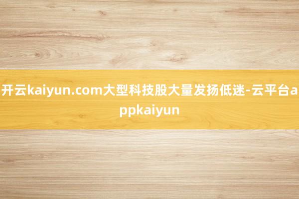 开云kaiyun.com大型科技股大量发扬低迷-云平台appkaiyun