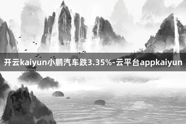 开云kaiyun小鹏汽车跌3.35%-云平台appkaiyun