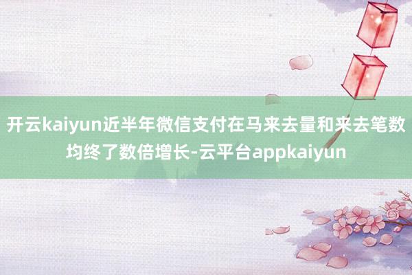 开云kaiyun近半年微信支付在马来去量和来去笔数均终了数倍增长-云平台appkaiyun