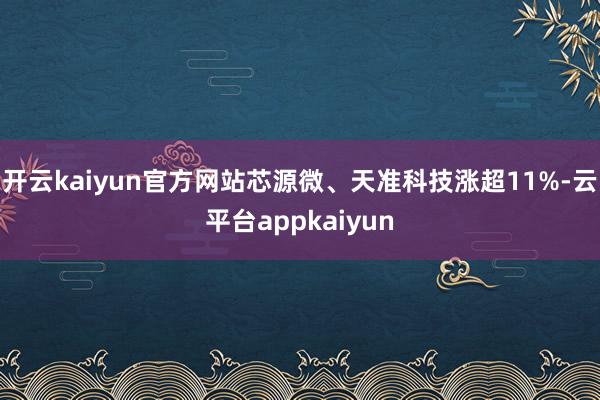 开云kaiyun官方网站芯源微、天准科技涨超11%-云平台appkaiyun