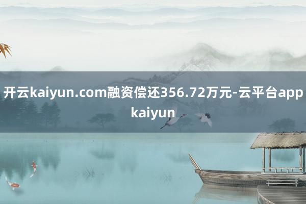 开云kaiyun.com融资偿还356.72万元-云平台appkaiyun
