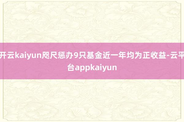 开云kaiyun咫尺惩办9只基金近一年均为正收益-云平台appkaiyun