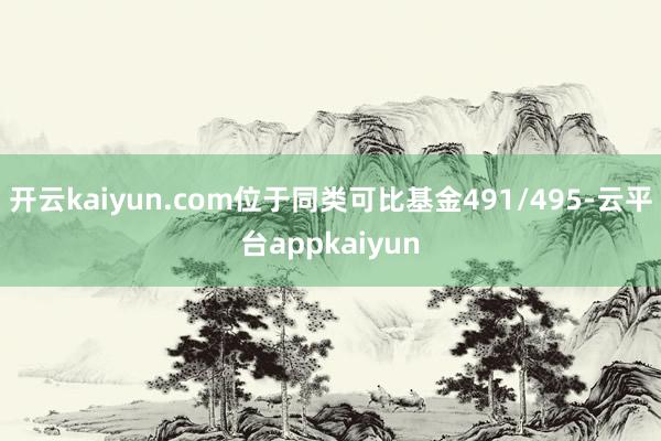 开云kaiyun.com位于同类可比基金491/495-云平台appkaiyun