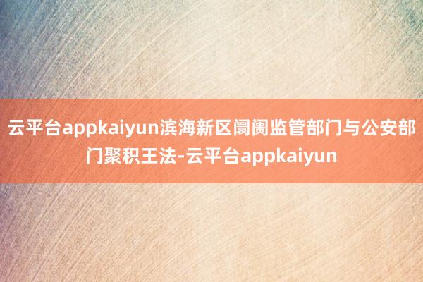 云平台appkaiyun滨海新区阛阓监管部门与公安部门聚积王法-云平台appkaiyun