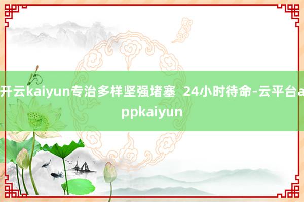 开云kaiyun专治多样坚强堵塞  24小时待命-云平台appkaiyun