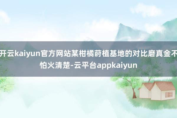 开云kaiyun官方网站某柑橘莳植基地的对比磨真金不怕火清楚-云平台appkaiyun