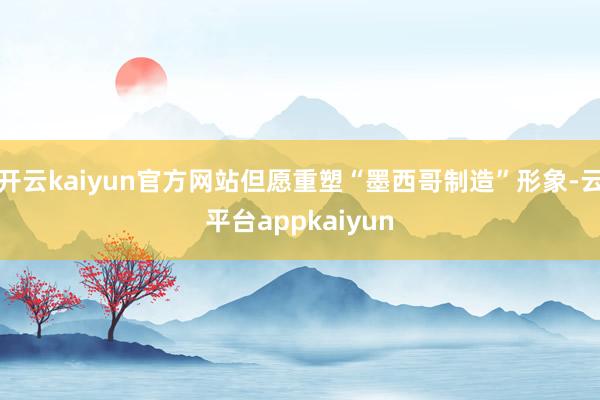 开云kaiyun官方网站但愿重塑“墨西哥制造”形象-云平台appkaiyun