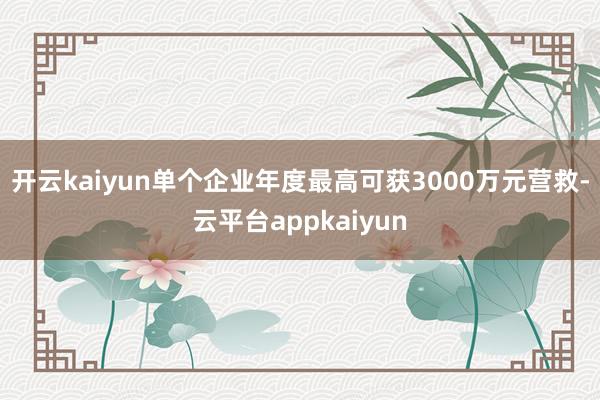 开云kaiyun单个企业年度最高可获3000万元营救-云平台appkaiyun